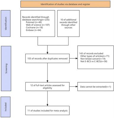 Comparison of endoscopic breast-conserving surgery versus conventional breast-conserving surgery for the treatment of early-stage breast cancer: a meta-analysis